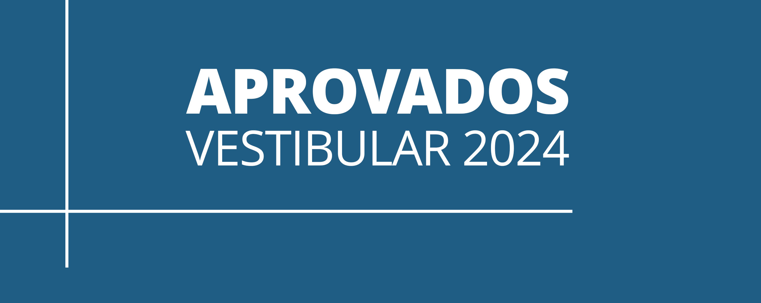 LISTA DOS ALUNOS APROVADOS - VESTIBULAR 2024
